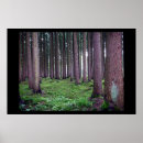 Search for bavarian posters Europe