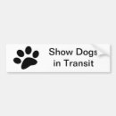 Search for dog shows Dogs