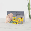 Search for wrinkles birthday cards Shar pei