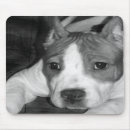 Search for pitbull mousepads Terrier