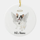 Search for loss pet memorial ornaments Rainbow bridge