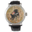 Search for male watches Superstock