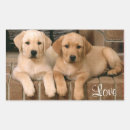 Search for labrador retriever rectangle stickers Puppy