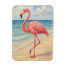 Search for tropical decor magnets Watercolor