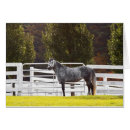 Search for proud photo cards Photograph
