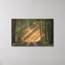 Search for cedar tree art Landscape