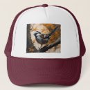 Search for oil hats Bird