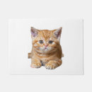 Search for meme doormats Crazy cat lady