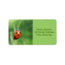 Search for ladybugs labels Nature