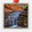 Search for coyote christmas tree decorations Desert