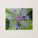 Search for cornflower puzzles Floral