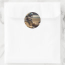 Search for meerkat stickers Suricata
