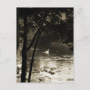 Search for rivers vertical postcards Summer