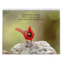 Search for robin bird calendars Nature