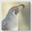 Search for for birders barware Birding