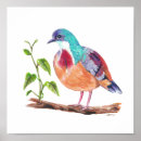 Search for biodiversity posters Fauna