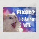 Search for funny cat postcards Politics
