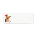 Search for yorkie return address labels Dog