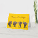 Search for african elephants birthday cards Happy