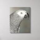 Search for african canvas prints Grey
