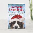 Search for st bernard christmas cards Dogs