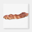 Search for strips magnets Bacon