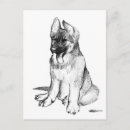 Search for german shepherd postcards Doggie