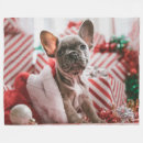 Search for bulldog christmas blankets Frenchie