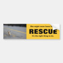 Search for animal rescue bumper stickers Kittens