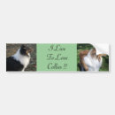 Search for dog agility bumper stickers Pets