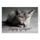 Search for sad get well cards Kitten