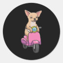 Search for chihuahua dog stickers Chiwawa