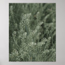 Search for pretty green posters Greenery