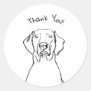 Search for weimaraner stickers Puppy