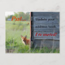 Search for fox news postcards Wildlife