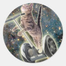 Search for cat meme stickers Space
