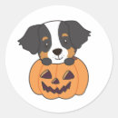 Search for bernese mountain dog lovers stickers Halloween