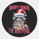 Search for funny raccoon stickers Humor