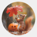 Search for maple leaf stickers Squirrel
