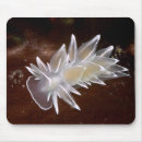 Search for scuba diving mousepads Underwater