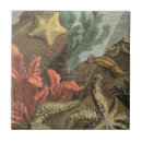 Search for sea tiles Ocean