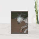 Search for italian greyhound cards Dog