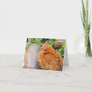 Search for bantam cards Chickens