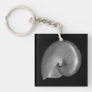 Search for nautilus shell key rings Seashell