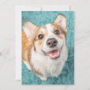 Search for smiling puppy cards Canine