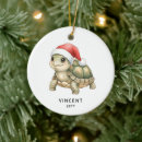 Search for tortoise christmas tree decorations Turtle