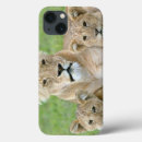 Search for cub ipad cases Lincoln peak