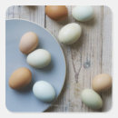 Search for whole stickers Food