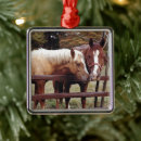 Search for horse christmas tree decorations Ranch