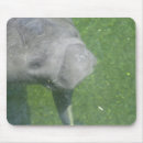 Search for manatee mousepads Marine